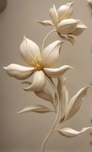 white magnolia,white lily,star magnolia,magnolia flowers,lillies,lilies,golden lotus flowers,lotus flowers,magnolias,lilium candidum,paper art,magnolia star,magnolia stellata,chinese magnolia,magnolia,blue star magnolia,flowers png,tea flowers,magnolia flower,junshan yinzhen,Common,Common,None