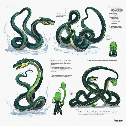 green snake,serpent,serpentine,green tree snake,smooth greensnake,water snake,constrictor,green mamba,serpentes,pointed snake,anaconda,snakes,western green mamba,snake staff,emperor snake,tree snake,sea snake,green tree python,ringed-worm,reptile,Unique,Design,Character Design