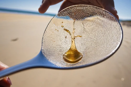 soybean oil,magnify glass,message in a bottle,edible oil,oil in water,magnifying glass,cod liver oil,fish oil,crystal ball-photography,sandglass,fish oil capsules,bottle of oil,mirror in a drop,oil drop,a drop of,cooking oil,magnifier glass,sand timer,magnifying lens,plant oil,Photography,General,Natural