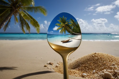 wineglass,piña colada,wine glass,crystal ball-photography,passion fruit daiquiri,cocktail glass,sandglass,coconut cocktail,cocktail umbrella,magnify glass,champagne stemware,magnifying glass,message in a bottle,do not use a brush on this glass,clear glass,stemware,champagne glass,a glass of,sand timer,thin-walled glass,Photography,General,Natural