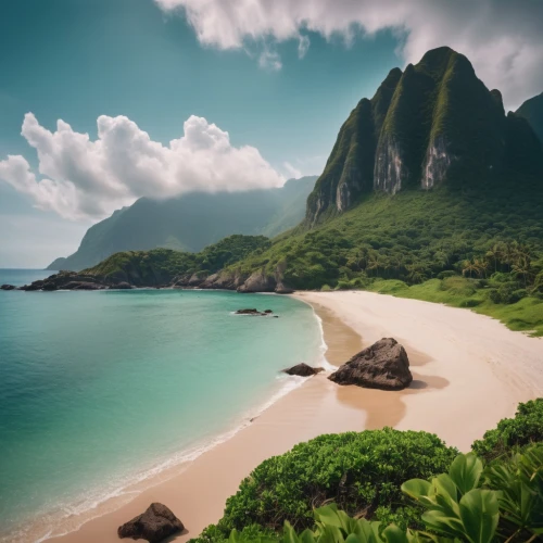 mountain beach,beach landscape,beautiful beaches,caribbean beach,seychelles,tropical beach,beautiful beach,dream beach,brazilian beach,coastal landscape,napali coast,caribbean sea,beach scenery,caribbean,paradise beach,shipwreck beach,the caribbean,castaway beach,southern island,napali,Photography,General,Cinematic