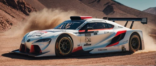 radical sr8,desert racing,audi pikes peak quattro,acura arx-02a,american sportscar,subaru r1,world rally car,endurance racing (motorsport),electric sports car,martini,british gt,sports car racing,desert safari,dakar rally,desert run,daytona sportscar,nissan r89c,racing car,race car,racecar,Photography,Documentary Photography,Documentary Photography 08