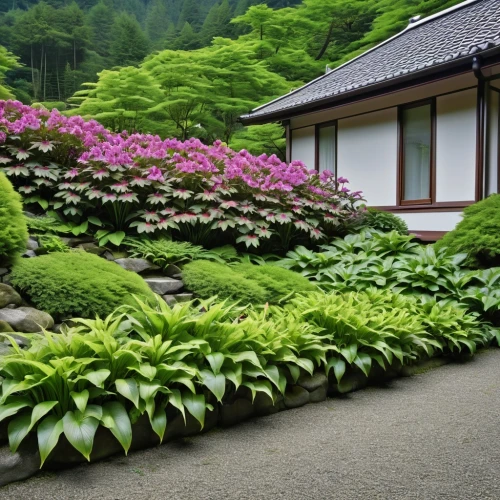 japan garden,sake gardens,japanese garden ornament,japanese garden,japanese zen garden,ritsurin garden,zen garden,terraced,ornamental plants,beautiful japan,japanese architecture,perennial plants,ornamental shrubs,japan landscape,ryokan,hyang garden,kumano kodo,flowering plants,landscaping,nature garden,Photography,General,Realistic