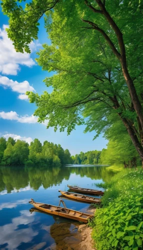 landscape background,background view nature,green trees with water,river landscape,nature landscape,green landscape,aaa,beautiful lake,boat landscape,forest landscape,row of trees,landscape nature,beautiful landscape,forest background,idyllic,calm water,aa,spring leaf background,natural landscape,full hd wallpaper,Photography,General,Realistic