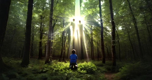 holy forest,photo manipulation,forest of dreams,digital compositing,forest background,photomanipulation,the forest,forest,forest walk,photoshop manipulation,inner light,beam of light,forest man,girl with tree,sunrays,in the forest,lens flare,rays of the sun,god rays,people in nature