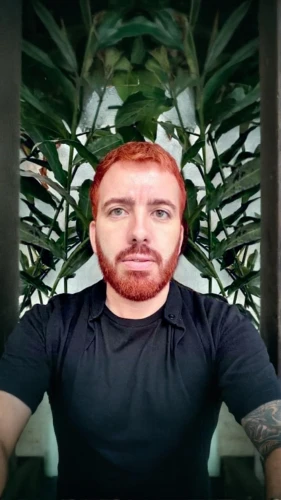 png transparent,ginger rodgers,chair png,transparent image,fractalius,png,castro,mini e,kapparis,rose png,ceo,gnome,twitch icon,che,scandia gnome,alpha,dad grass,transparent background,garden gnome,green screen
