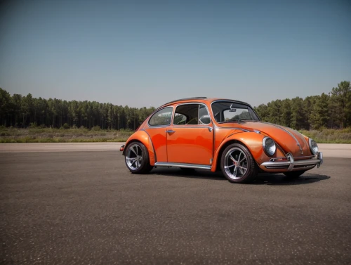 volkswagen new beetle,volkswagen beetle,vw beetle,the beetle,beetle,baja bug,volkswagen beetlle,auburn speedster,forest beetle,leaf beetle,rose beetle,brush beetle,vw model,beetles,notchback,volkswagen vw,vw bulli t1,porsche targa,volkswagen 181,mini cooper