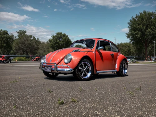 volkswagen new beetle,volkswagen beetle,the beetle,vw beetle,beetle,baja bug,beetles,volkswagen beetlle,leaf beetle,rose beetle,forest beetle,lady bug,two-point-ladybug,brush beetle,vw model,beetle fog,red bugs,volkswagen 181,volkswagen vw,isetta