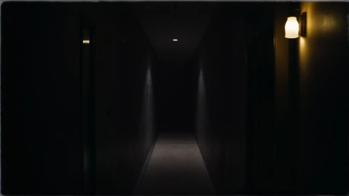 creepy doorway,a dark room,penumbra,hallway,dark cabinetry,hallway space,the threshold of the house,the door,corridor,threshold,nightlight,passage,open door,live escape game,3d render,basement,rooms,door,doorway,night light