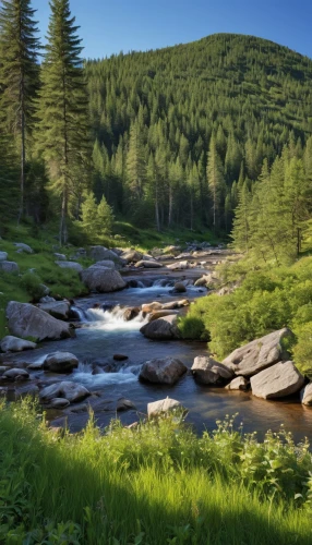 carpathians,mountain stream,northern black forest,mountain river,slowinski national park,temperate coniferous forest,flowing creek,altai,river landscape,bavarian forest,the vishera river,background view nature,clear stream,mountain spring,tropical and subtropical coniferous forests,natural landscape,trossachs national park - dunblane,ilse valley,brook landscape,upper water,Photography,General,Realistic