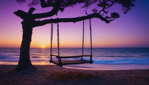 empty swing,tree with swing,wooden swing,hanging swing,tree swing,swing set,hanging chair,hammock,garden swing,golden swing,swing,swinging,dream beach,beach chair,hammocks,beach furniture,deckchair,bench by the sea,porch swing,dreams catcher,Photography,General,Fantasy