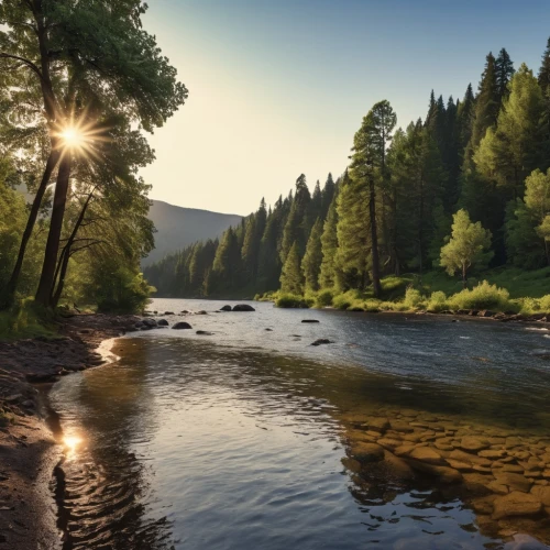 northern black forest,mckenzie river,river landscape,mountain river,slowinski national park,bavarian forest,carpathians,temperate coniferous forest,a river,background view nature,pieniny,raven river,landscape background,altai,clear stream,tropical and subtropical coniferous forests,nature landscape,landscape photography,beautiful landscape,flowing creek,Photography,General,Realistic