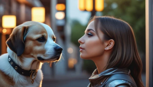 girl with dog,dog photography,dog-photography,dog look,companion dog,pet vitamins & supplements,human and animal,romantic portrait,female dog,dog,wag,vizla,animal photography,boy and dog,service dogs,dog training,dog frame,indian dog,mudhol hound,a heart for animals,Photography,General,Realistic