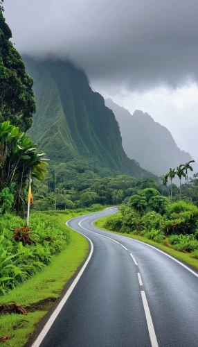 hawaii,coastal road,kauai,mountain highway,mountain road,reunion island,aaa,winding roads,national highway,molokai,oahu,roads,travel insurance,the road,road,open road,tropical and subtropical coniferous forests,the road to the sea,long road,country road,Photography,General,Realistic
