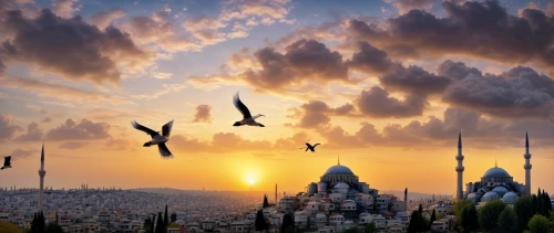 istanbul city,istanbul,constantinople,bird kingdom,turkey,hot-air-balloon-valley-sky,sultanahmet,turkey tourism,fantasy picture,flying birds,sultan ahmed mosque,world digital painting,izmir,bird flight,fantasy landscape,birds flying,birds in flight,ancient city,kadikoy,gezi