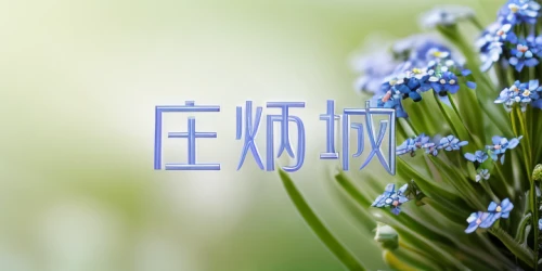 agapanthus,blue flower,myosotis,flowers png,flower background,muscari,blue flowers,white grape hyacinths,cyanus cornflower,japanese floral background,spring greeting,blue grape hyacinth,grape hyacinths,grape hyacinth,common grape hyacinth,tuberose,bluish white clover,china aster,panicle,forget-me-not,Realistic,Flower,Forget-me-not
