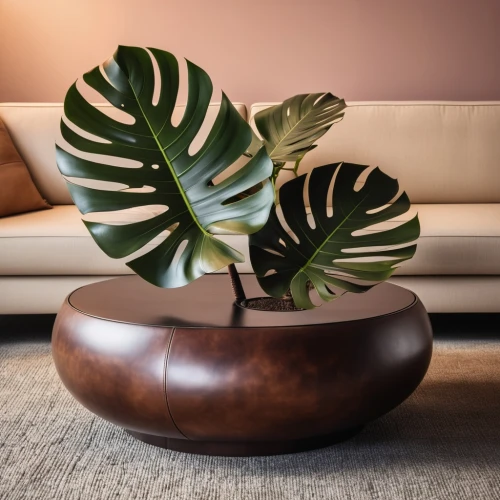 ficus,danish furniture,monstera,houseplant,modern decor,mid century modern,wooden flower pot,money plant,chaise longue,monstera deliciosa,cycad,house plants,contemporary decor,coffee table,soft furniture,chaise lounge,end table,wooden bowl,sofa tables,tropical leaf pattern,Photography,General,Realistic