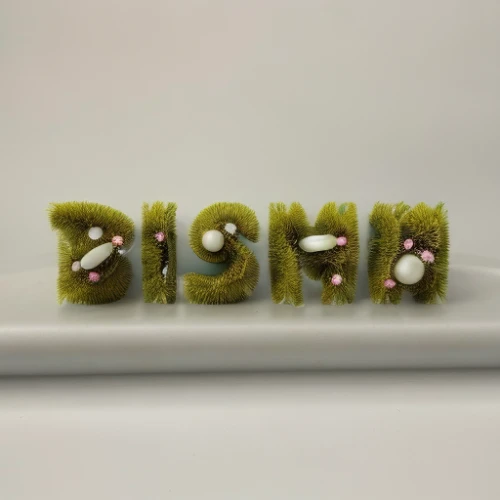 sushi art,alphabet pasta,wasabi,broccoli sprouts,sushi roll images,sushi plate,garden cress,sushi,food styling,shrub celery,kawaii vegetables,alfalfa sprouts,sprout salad,celery and lotus seeds,peas,pesto,e-coli,fiddlehead fern,capsule fruits,algae,Realistic,Flower,Baby's Breath