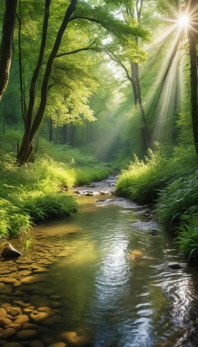 green forest,green trees with water,background view nature,forest landscape,green landscape,aaa,mountain stream,clear stream,riparian forest,nature landscape,forest background,flowing creek,landscape background,germany forest,fairytale forest,river landscape,full hd wallpaper,fairy forest,landscape nature,natural scenery,Photography,General,Realistic