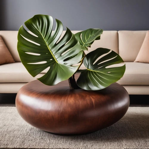 ficus,areca nut,danish furniture,wooden bowl,tropical leaf pattern,cycad,wooden flower pot,monstera,mid century modern,coffee table,houseplant,patterned wood decoration,palm fronds,modern decor,fan palm,contemporary decor,chaise lounge,sofa tables,chaise longue,anthurium,Photography,General,Realistic