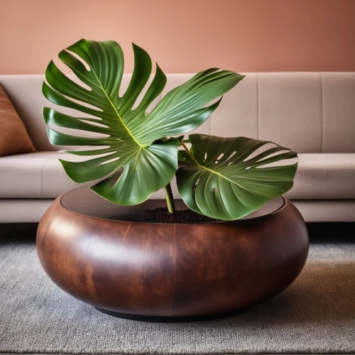 houseplant,ficus,wooden flower pot,mid century modern,house plants,money plant,monstera,danish furniture,modern decor,contemporary decor,wooden bowl,cycad,corten steel,potted palm,anthurium,terracotta flower pot,mid century sofa,plant pot,exotic plants,chaise lounge,Photography,General,Realistic
