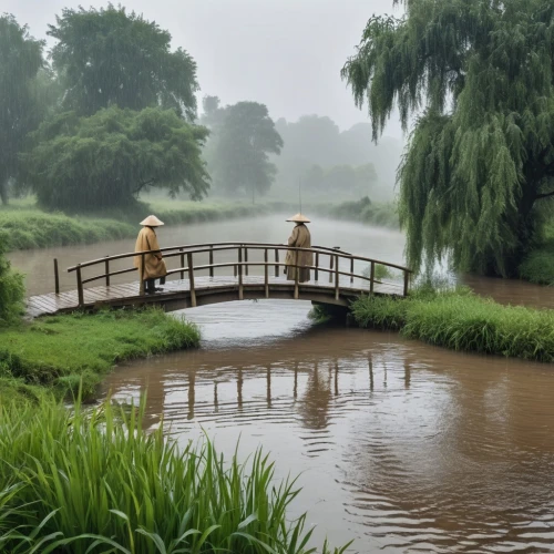 wooden bridge,hangman's bridge,scenic bridge,cambridgeshire,gapstow bridge,people fishing,flooded pathway,segmental bridge,tixall gateway,footbridge,viola bridge,peasholm park,teak bridge,love bridge,japanese garden,dragon bridge,golden pavilion,low water crossing,love in the mist,chapel bridge,Photography,General,Realistic