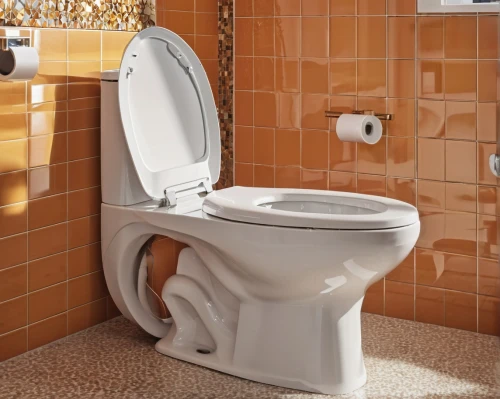 commode,toilet seat,bidet,toilet table,toilet,wc,urinal,bathroom accessory,disabled toilet,the throne,portable toilet,plumbing fitting,plumbing fixture,basin,search interior solutions,throne,incontinence aid,ceramic floor tile,chamber pot,stall,Photography,General,Realistic