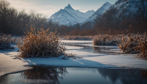 grand teton,teton,grand tetons,winter landscape,snake river,ice landscape,frozen lake,snake river lakes,frozen water,winter morning,winter light,winter lake,snow landscape,winter magic,snowy landscape,reeds wintry,landscape photography,winter background,snowy peaks,mountain river,Photography,General,Fantasy