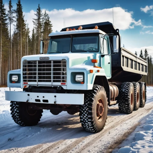 ford f-650,ford 69364 w,kamaz,tank truck,ford f-series,ford f-550,snowplow,bannack international truck,dodge d series,snow plow,peterbilt,zil-4104,ford cargo,concrete mixer truck,ford f-350,ural-375d,studebaker m series truck,large trucks,rust truck,long cargo truck,Photography,General,Realistic