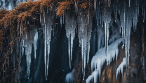 icicles,ice cave,icicle,ice landscape,ice wall,ice castle,crevasse,stalactite,frozen ice,glacier cave,ice rain,ice crystal,ice planet,ice crystals,water glace,winter forest,glacial melt,glacier tongue,hoarfrost,thaw,Photography,General,Fantasy