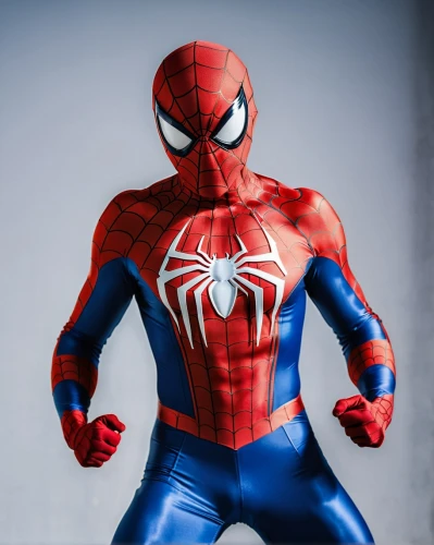 spider-man,webbing,spiderman,spider man,spider,spider bouncing,spider silk,spider the golden silk,aaa,the suit,marvel figurine,cleanup,web,arachnid,red super hero,peter,superhero background,spider network,wall,webs,Photography,General,Realistic
