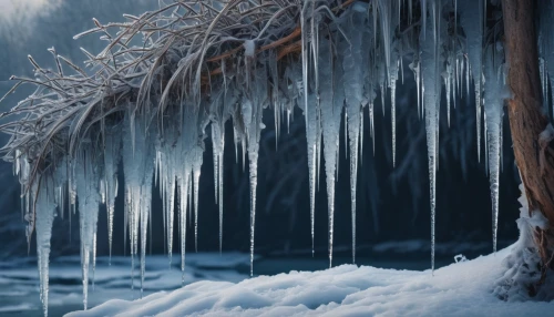 icicles,icicle,ice landscape,hoarfrost,frozen ice,ice wall,winter background,ice rain,frozen water,winter forest,ice cave,icy,frozen lake,frozen,ice planet,frost,corona winter,ice castle,treemsnow,winter lake,Photography,General,Fantasy