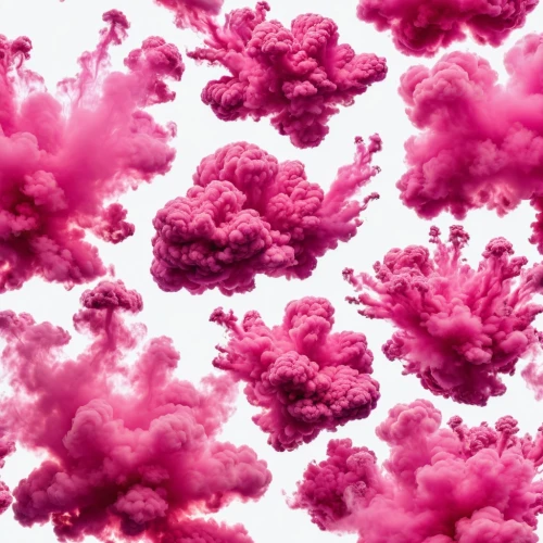 pink floral background,paper clouds,pink balloons,cotton candy,magenta,smoke bomb,pink paper,crayon background,pink carnations,abstract smoke,pink background,pink carnation,abstract air backdrop,smoke background,vapor,color pink,pink vector,cumulus,floral digital background,spray roses