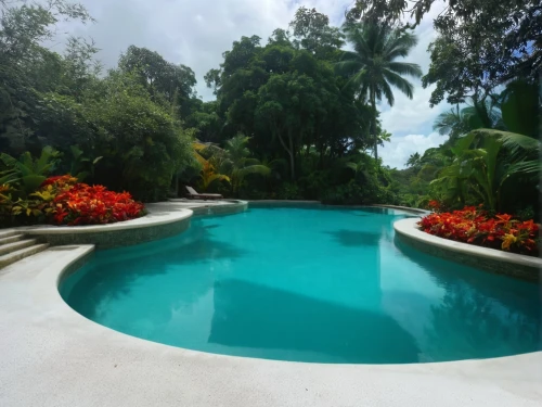 landscape designers sydney,outdoor pool,dug-out pool,swimming pool,pool water surface,swim ring,pool house,landscape design sydney,florida home,volcano pool,pool water,infinity swimming pool,hacienda,naples botanical garden,tropical house,pool,jamaica,pool of water,straight pool,pool cleaning