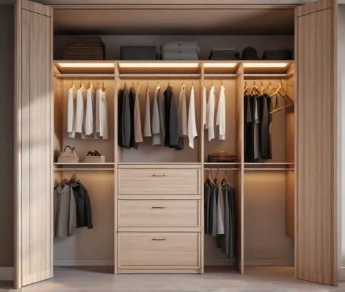 walk-in closet,wardrobe,closet,storage cabinet,dresser,armoire,women's closet,cupboard,cabinetry,drawers,room divider,lisaswardrobe,dressing table,cabinets,chiffonier,shoe cabinet,under-cabinet lighting,organization,garment racks,dressing room,Photography,General,Realistic