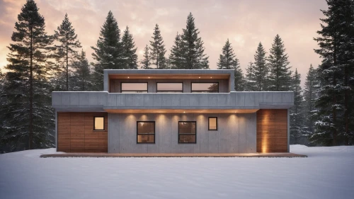 winter house,snow house,timber house,snow roof,small cabin,inverted cottage,cubic house,snow shelter,log cabin,the cabin in the mountains,3d rendering,wooden house,snowhotel,modern house,mid century house,eco-construction,house in the forest,log home,render,scandinavian style,Photography,General,Realistic