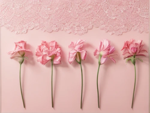 floral digital background,pink floral background,flower wall en,floral background,paper flower background,flower background,flowers png,tulip background,floral mockup,white floral background,japanese floral background,sugar roses,pink roses,pink carnation,vintage flowers,damask background,paper roses,pink background,pink flowers,pink carnations,Realistic,Fashion,Romantic And Dreamy