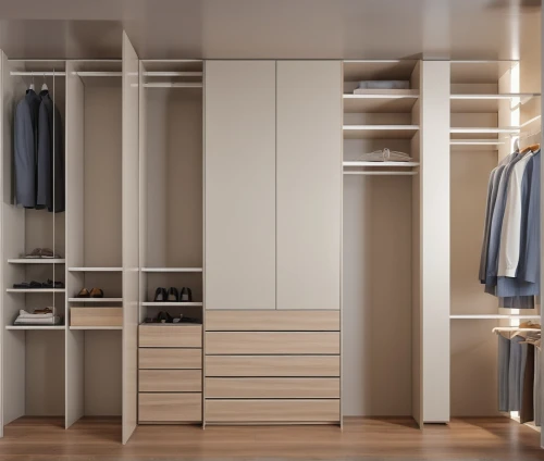 walk-in closet,storage cabinet,shelving,wardrobe,drawers,room divider,closet,cabinetry,dresser,cupboard,garment racks,metal cabinet,modern room,search interior solutions,armoire,modern style,organization,shelves,cabinets,danish furniture,Photography,General,Realistic