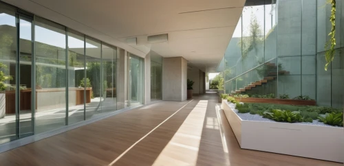 landscape designers sydney,landscape design sydney,glass wall,glass facade,garden design sydney,daylighting,structural glass,hallway space,modern house,interior modern design,modern architecture,glass facades,glass panes,californian white oak,contemporary decor,window film,glass blocks,walkway,block balcony,smart house,Photography,General,Realistic