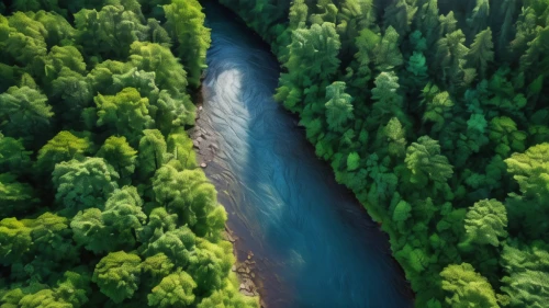 mckenzie river,river landscape,green trees with water,danube gorge,fluvial landforms of streams,a river,tropical and subtropical coniferous forests,temperate coniferous forest,tanana river,rivers,aerial photography,huka river,aura river,gorges of the danube,aerial landscape,river of life project,mountain river,germany forest,yukon river,river view,Photography,General,Natural