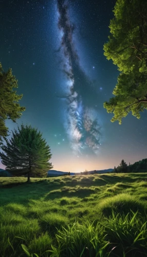 milky way,the milky way,milkyway,astronomy,starry sky,meadow landscape,landscape background,the night sky,celestial phenomenon,earth in focus,night sky,green landscape,cosmos field,starry night,nightscape,lone tree,nightsky,tobacco the last starry sky,night image,night stars,Photography,General,Realistic