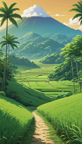 yamada's rice fields,rice fields,landscape background,ricefield,cartoon video game background,the rice field,rice field,an island far away landscape,studio ghibli,pineapple fields,rice paddies,japan landscape,green landscape,rice terrace,green valley,green fields,rural landscape,tropics,hawaii bamboo,background images,Photography,General,Realistic