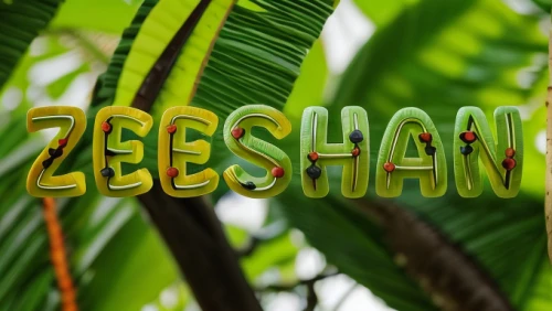 zeehan,schisandraceae,tree signboard,logo header,zoo schönbrunn,shamanism,geraniaceae,sign banner,oleaceae,zoo planckendael,lechazo,beetzaun,zebu,zebru,zoom background,zigzag background,herman park zoo,schisandra,the fan's background,banner set,Realistic,Landscapes,Rainforest Wildlife