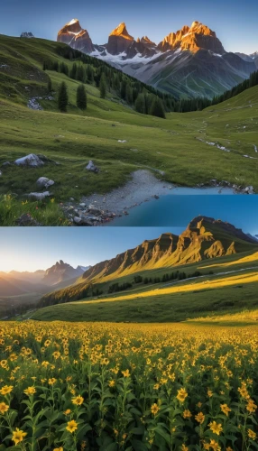 alpine meadow,pyrenees,alpine meadows,alpine flowers,mountain meadow,telluride,the valley of flowers,western tatras,alpine region,alpine sunset,bucegi mountains,eastern pyrenees,south tyrol,the mongolian and russian border mountains,dolomites,south-tirol,alpine pastures,lilies of the valley,grasslands,salt meadow landscape,Photography,General,Realistic