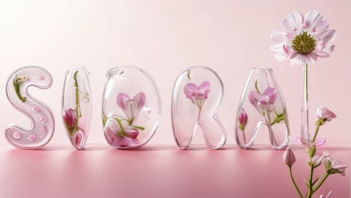 pink floral background,flowers png,decorative letters,floral background,flower background,floral digital background,floral mockup,sprig,floral silhouette frame,pink daisies,shabby,shashed glass,letter s,floral design,stamens,flower vases,flower illustrative,flowers and,started-carnation,flower strips,Realistic,Flower,Cyclamen