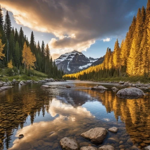 salt meadow landscape,larch forests,landscape photography,nature landscape,beautiful landscape,mount rainier,landscapes beautiful,united states national park,mountain landscape,autumn mountains,temperate coniferous forest,natural landscape,mountain meadow,tropical and subtropical coniferous forests,vermilion lakes,mountain river,mountain stream,slowinski national park,canadian rockies,natural scenery,Photography,General,Realistic