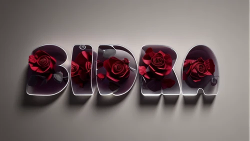 radicchio,cinema 4d,decorative letters,typography,shoes icon,dribbble logo,noble roses,floral mockup,dried rose,flowers png,rose png,rose order,roses,cd cover,bicolored rose,glade,striploin,crown render,chrysler 300 letter series,rosa ' amber cover,Realistic,Jewelry,Pop