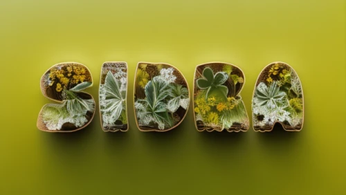 decorative letters,kr badge,wooden letters,letter k,garden logo,k badge,apple monogram,initials,typography,bkh,social logo,kale,logo header,kelp,monogram,kalanchoe,flowers png,kiwifruit,logotype,kö-dig,Realistic,Flower,Yarrow