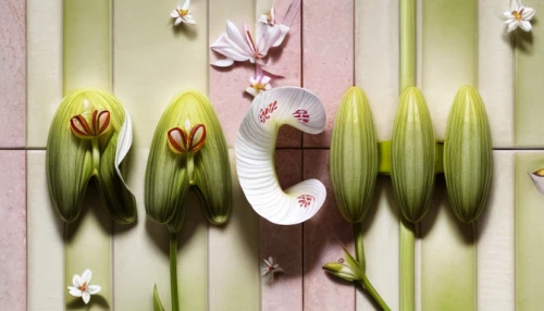 flower wall en,bookmark with flowers,flower garland,tulip background,amaryllis family,flower arrangement lying,lilium candidum,flower decoration,easter lilies,wall decoration,japanese floral background,amaryllis,harp with flowers,tulpenbüten,flowers png,blooming wreath,easter decoration,ceramic tile,floral greeting,spring background,Realistic,Flower,Lily