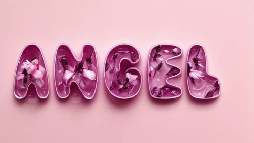 dribbble logo,angels,decorative letters,mingle,magenta,pinkladies,pink flamingos,angel trumpets,angle,typography,love angel,dribbble,fringed pink,bang,logo header,pink background,angelology,bugle,candied,angel head,Realistic,Flower,Cyclamen